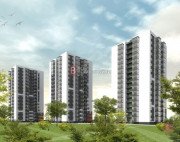 Микрорайон "Центральный", Колтушское с/п, д. Старая, пер. Школьный